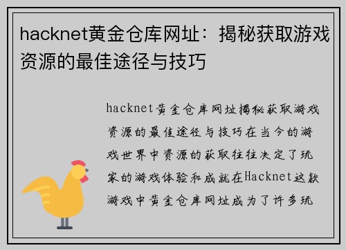 hacknet黄金仓库网址：揭秘获取游戏资源的最佳途径与技巧